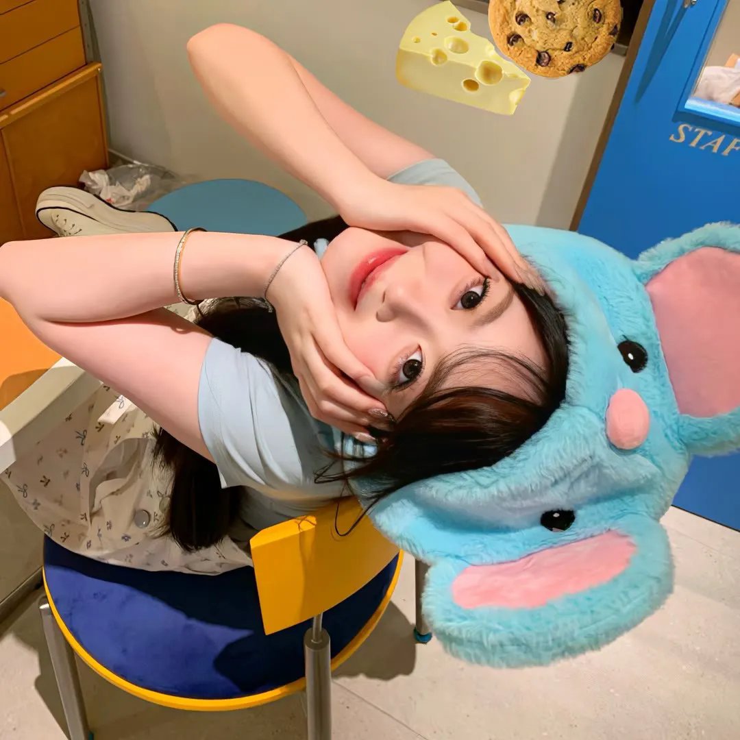 蟾蜍之路